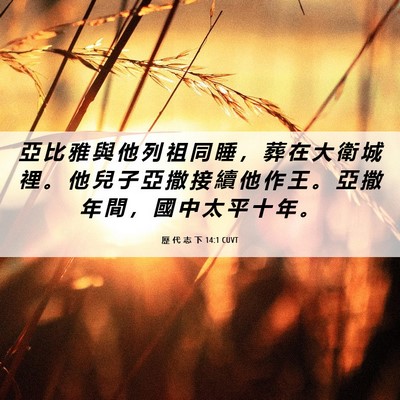 Picture 06 - 歷 代 志 下 14:1 CUVT - 亞 比 雅 與 他 列 祖 同 睡 ， 葬 在 - Bible Verse Picture