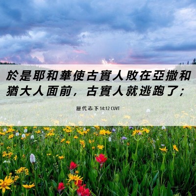 Picture 06 - 歷 代 志 下 14:12 CUVT - 於 是 耶 和 華 使 古 實 人 敗 在 亞 - Bible Verse Picture