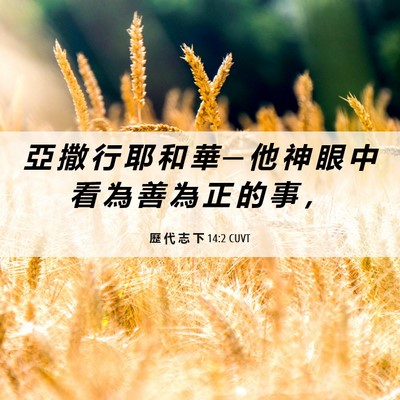 Picture 06 - 歷 代 志 下 14:2 CUVT - 亞 撒 行 耶 和 華 ─ 他 神 眼 中 看 - Bible Verse Picture