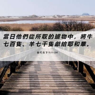 Picture 06 - 歷 代 志 下 15:11 CUVT - 當 日 他 們 從 所 取 的 擄 物 中 ， - Bible Verse Picture