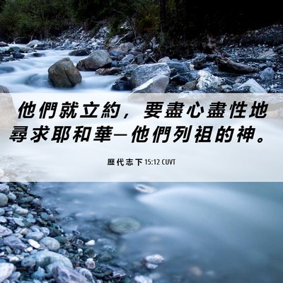 Picture 06 - 歷 代 志 下 15:12 CUVT - 他 們 就 立 約 ， 要 盡 心 盡 性 地 - Bible Verse Picture