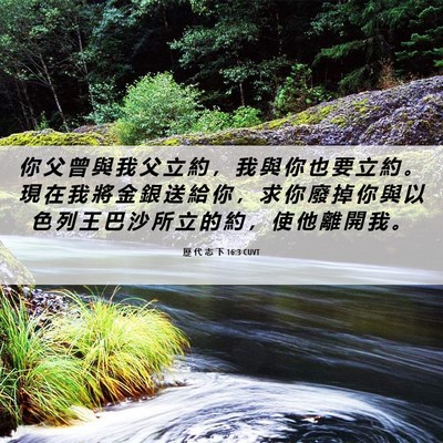 Picture 06 - 歷 代 志 下 16:3 CUVT - 你 父 曾 與 我 父 立 約 ， 我 與 你 - Bible Verse Picture