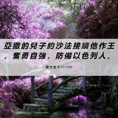 Picture 06 - 歷 代 志 下 17:1 CUVT - 亞 撒 的 兒 子 約 沙 法 接 續 他 作 - Bible Verse Picture