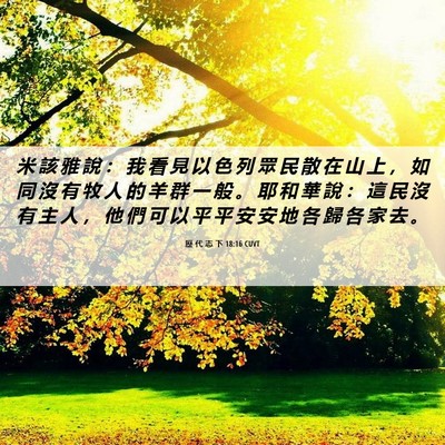 Picture 06 - 歷 代 志 下 18:16 CUVT - 米 該 雅 說 ： 我 看 見 以 色 列 眾 - Bible Verse Picture