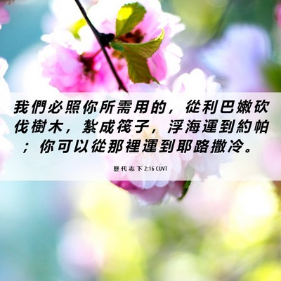 Picture 06 - 歷 代 志 下 2:16 CUVT - 我 們 必 照 你 所 需 用 的 ， 從 利 - Bible Verse Picture