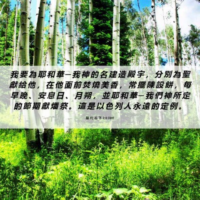 Picture 06 - 歷 代 志 下 2:4 CUVT - 我 要 為 耶 和 華 ─ 我 神 的 名 建 - Bible Verse Picture