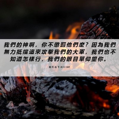 Picture 06 - 歷 代 志 下 20:12 CUVT - 我 們 的 神 啊 ， 你 不 懲 罰 他 們 - Bible Verse Picture