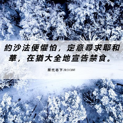 Picture 06 - 歷 代 志 下 20:3 CUVT - 約 沙 法 便 懼 怕 ， 定 意 尋 求 耶 - Bible Verse Picture
