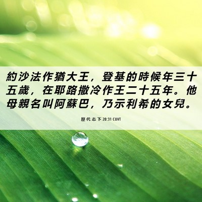 Picture 06 - 歷 代 志 下 20:31 CUVT - 約 沙 法 作 猶 大 王 ， 登 基 的 時 - Bible Verse Picture