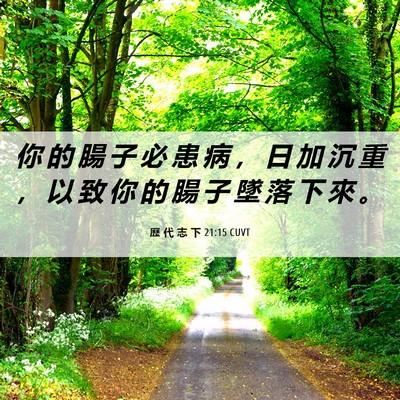 Picture 06 - 歷 代 志 下 21:15 CUVT - 你 的 腸 子 必 患 病 ， 日 加 沉 重 - Bible Verse Picture