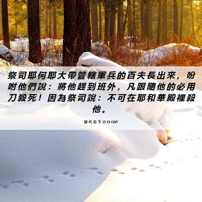 Picture 06 - 歷 代 志 下 23:14 CUVT - 祭 司 耶 何 耶 大 帶 管 轄 軍 兵 的 - Bible Verse Picture