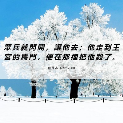 Picture 06 - 歷 代 志 下 23:15 CUVT - 眾 兵 就 閃 開 ， 讓 他 去 ； 他 走 - Bible Verse Picture
