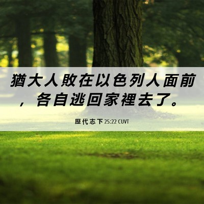 Picture 06 - 歷 代 志 下 25:22 CUVT - 猶 大 人 敗 在 以 色 列 人 面 前 ， - Bible Verse Picture
