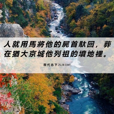 Picture 06 - 歷 代 志 下 25:28 CUVT - 人 就 用 馬 將 他 的 屍 首 馱 回 ， - Bible Verse Picture