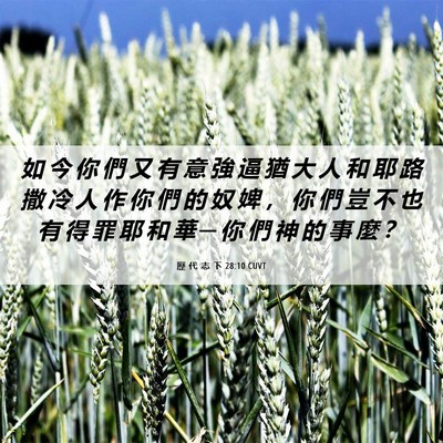 Picture 06 - 歷 代 志 下 28:10 CUVT - 如 今 你 們 又 有 意 強 逼 猶 大 人 - Bible Verse Picture