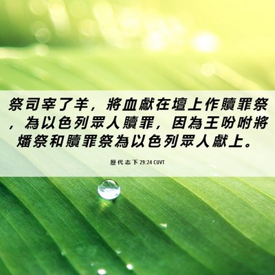 Picture 06 - 歷 代 志 下 29:24 CUVT - 祭 司 宰 了 羊 ， 將 血 獻 在 壇 上 - Bible Verse Picture