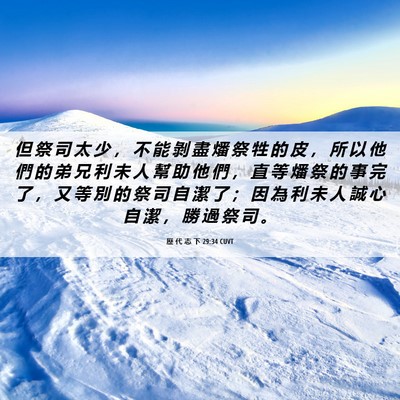 Picture 06 - 歷 代 志 下 29:34 CUVT - 但 祭 司 太 少 ， 不 能 剝 盡 燔 祭 - Bible Verse Picture