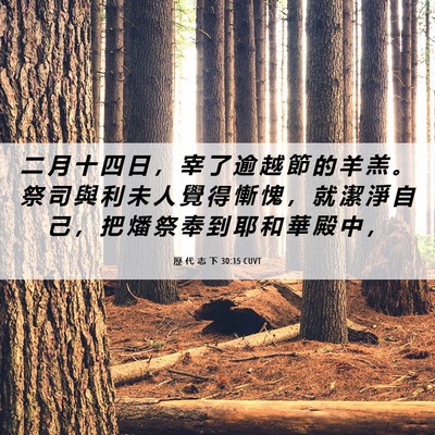 Picture 06 - 歷 代 志 下 30:15 CUVT - 二 月 十 四 日 ， 宰 了 逾 越 節 的 - Bible Verse Picture