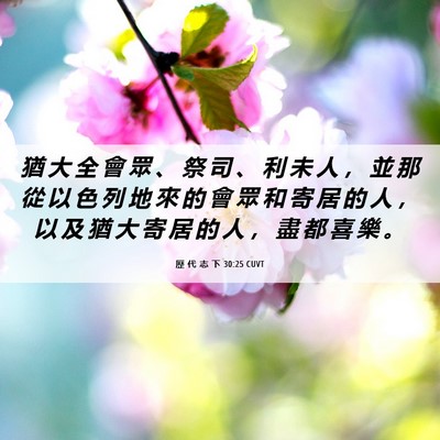 Picture 06 - 歷 代 志 下 30:25 CUVT - 猶 大 全 會 眾 、 祭 司 、 利 未 人 - Bible Verse Picture