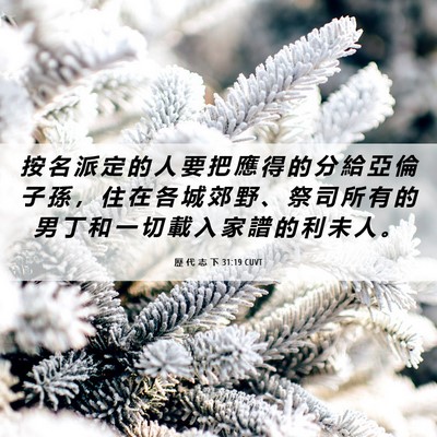 Picture 06 - 歷 代 志 下 31:19 CUVT - 按 名 派 定 的 人 要 把 應 得 的 分 - Bible Verse Picture