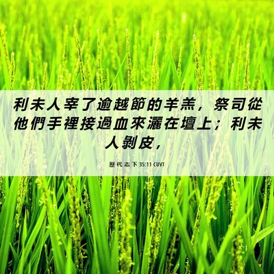 Picture 06 - 歷 代 志 下 35:11 CUVT - 利 未 人 宰 了 逾 越 節 的 羊 羔 ， - Bible Verse Picture