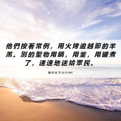 Picture 06 - 歷 代 志 下 35:13 CUVT - 他 們 按 著 常 例 ， 用 火 烤 逾 越 - Bible Verse Picture