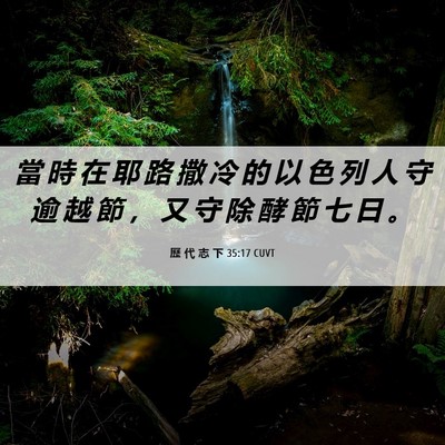 Picture 06 - 歷 代 志 下 35:17 CUVT - 當 時 在 耶 路 撒 冷 的 以 色 列 人 - Bible Verse Picture