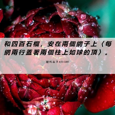 Picture 06 - 歷 代 志 下 4:13 CUVT - 和 四 百 石 榴 ， 安 在 兩 個 網 子 - Bible Verse Picture