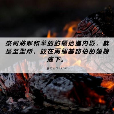 Picture 06 - 歷 代 志 下 5:7 CUVT - 祭 司 將 耶 和 華 的 約 櫃 抬 進 內 - Bible Verse Picture