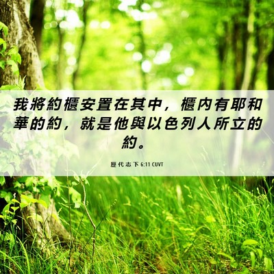 Picture 06 - 歷 代 志 下 6:11 CUVT - 我 將 約 櫃 安 置 在 其 中 ， 櫃 內 - Bible Verse Picture