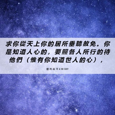 Picture 06 - 歷 代 志 下 6:30 CUVT - 求 你 從 天 上 你 的 居 所 垂 聽 赦 - Bible Verse Picture