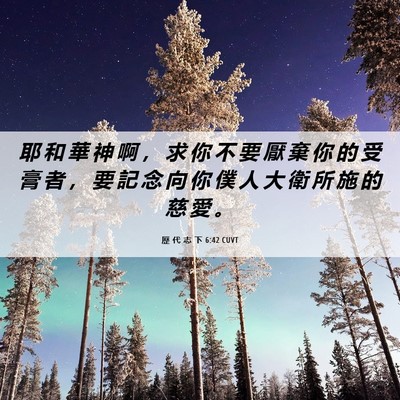 Picture 06 - 歷 代 志 下 6:42 CUVT - 耶 和 華 神 啊 ， 求 你 不 要 厭 棄 - Bible Verse Picture