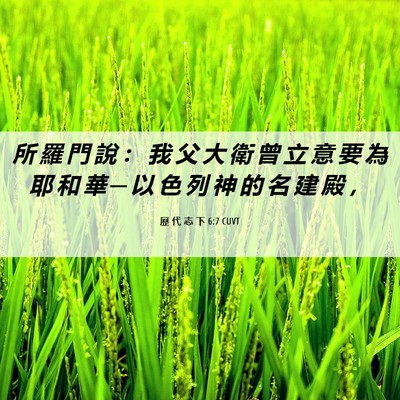 Picture 06 - 歷 代 志 下 6:7 CUVT - 所 羅 門 說 ： 我 父 大 衛 曾 立 意 - Bible Verse Picture