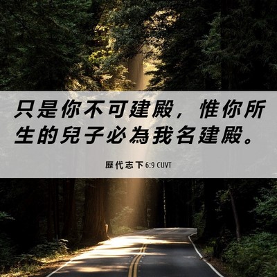 Picture 06 - 歷 代 志 下 6:9 CUVT - 只 是 你 不 可 建 殿 ， 惟 你 所 生 - Bible Verse Picture