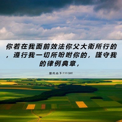 Picture 06 - 歷 代 志 下 7:17 CUVT - 你 若 在 我 面 前 效 法 你 父 大 衛 - Bible Verse Picture
