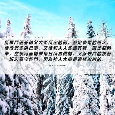 Picture 06 - 歷 代 志 下 8:14 CUVT - 所 羅 門 照 著 他 父 大 衛 所 定 的 - Bible Verse Picture