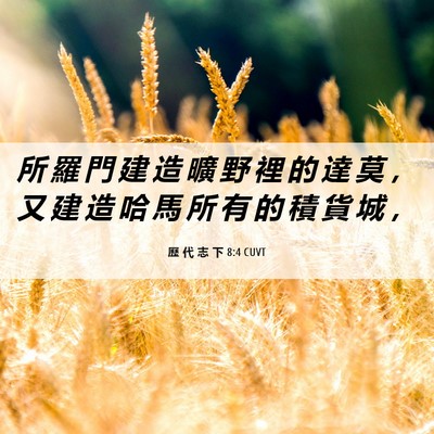 Picture 06 - 歷 代 志 下 8:4 CUVT - 所 羅 門 建 造 曠 野 裡 的 達 莫 ， - Bible Verse Picture