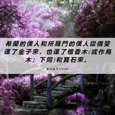 Picture 06 - 歷 代 志 下 9:10 CUVT - 希 蘭 的 僕 人 和 所 羅 門 的 僕 人 - Bible Verse Picture