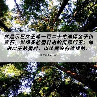 Picture 06 - 歷 代 志 下 9:9 CUVT - 於 是 示 巴 女 王 將 一 百 二 十 他 - Bible Verse Picture