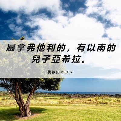 Picture 06 - 民 數 記 1:15 CUVT - 屬 拿 弗 他 利 的 ， 有 以 南 的 兒 - Bible Verse Picture