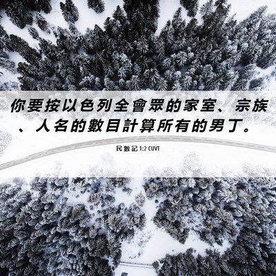 Picture 06 - 民 數 記 1:2 CUVT - 你 要 按 以 色 列 全 會 眾 的 家 室 - Bible Verse Picture
