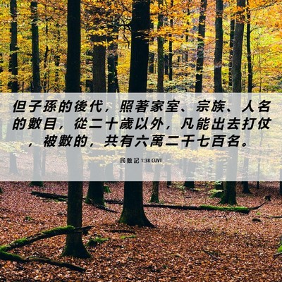 Picture 06 - 民 數 記 1:38 CUVT - 但 子 孫 的 後 代 ， 照 著 家 室 、 - Bible Verse Picture