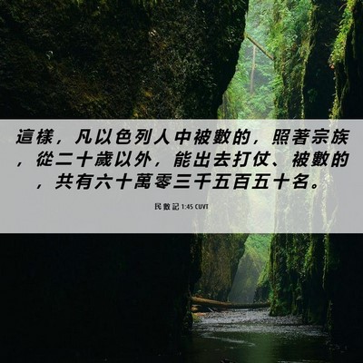 Picture 06 - 民 數 記 1:45 CUVT - 這 樣 ， 凡 以 色 列 人 中 被 數 的 - Bible Verse Picture