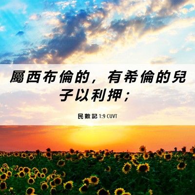 Picture 06 - 民 數 記 1:9 CUVT - 屬 西 布 倫 的 ， 有 希 倫 的 兒 子 - Bible Verse Picture