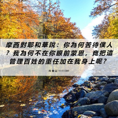 Picture 06 - 民 數 記 11:11 CUVT - 摩 西 對 耶 和 華 說 ： 你 為 何 苦 - Bible Verse Picture