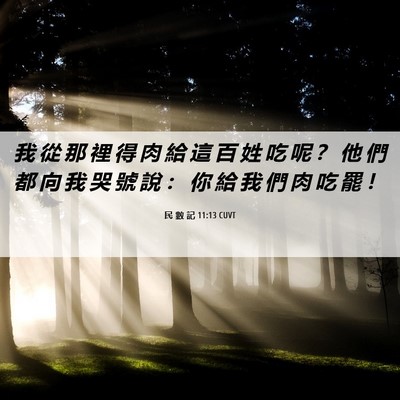 Picture 06 - 民 數 記 11:13 CUVT - 我 從 那 裡 得 肉 給 這 百 姓 吃 呢 - Bible Verse Picture