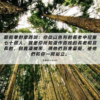 Picture 06 - 民 數 記 11:16 CUVT - 耶 和 華 對 摩 西 說 ： 你 從 以 色 - Bible Verse Picture