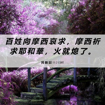 Picture 06 - 民 數 記 11:2 CUVT - 百 姓 向 摩 西 哀 求 ， 摩 西 祈 求 - Bible Verse Picture