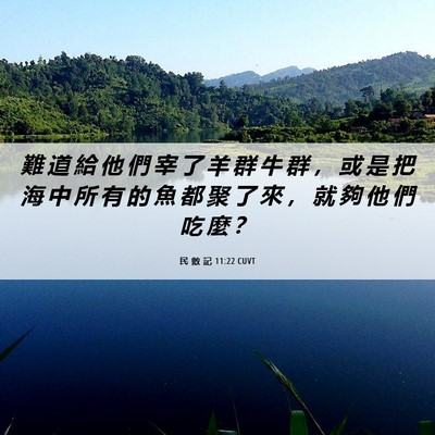 Picture 06 - 民 數 記 11:22 CUVT - 難 道 給 他 們 宰 了 羊 群 牛 群 ， - Bible Verse Picture