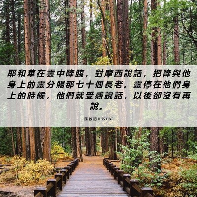 Picture 06 - 民 數 記 11:25 CUVT - 耶 和 華 在 雲 中 降 臨 ， 對 摩 西 - Bible Verse Picture
